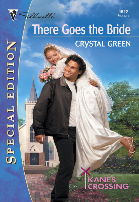 Cover image for book THERE GOES THE BRIDE