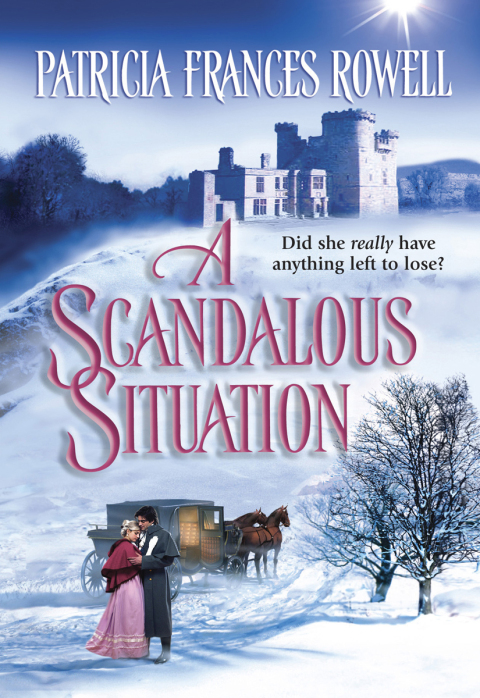 Cover image for book A Scandalous Situation