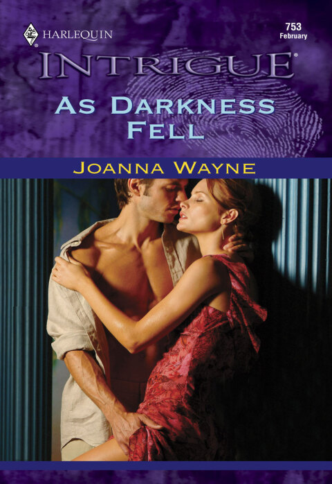 Cover image for book AS DARKNESS FELL
