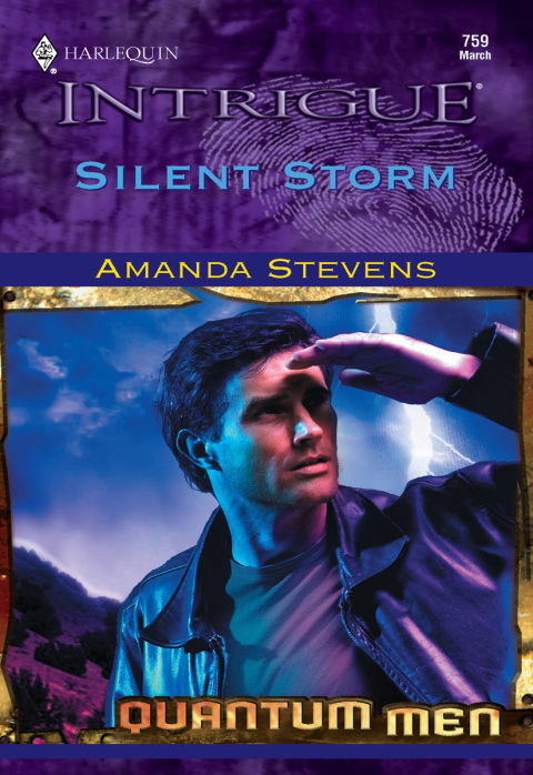 Cover image for book Silent Storm