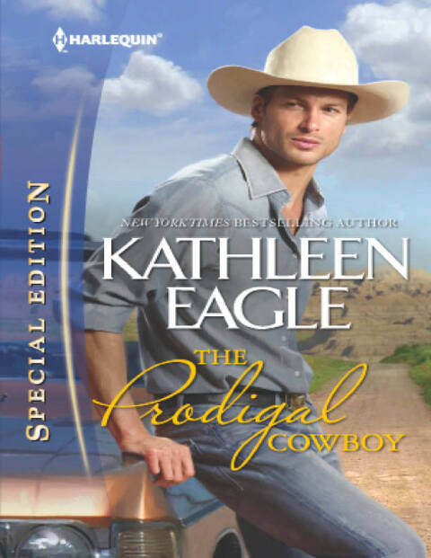 Cover image for book The Prodigal Cowboy