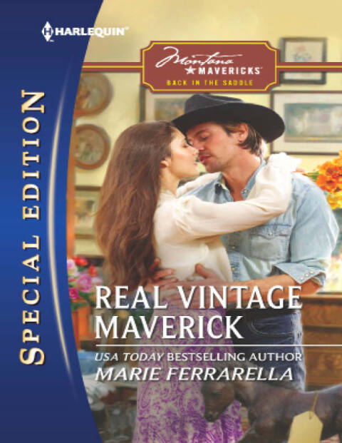 Cover image for book Real Vintage Maverick