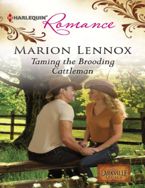 Cover image for book Taming the Brooding Cattleman