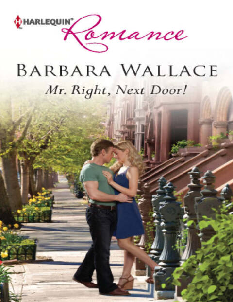 Mr. Right, Next Door! 