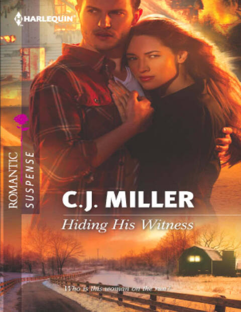 Cover image for book Hiding His Witness