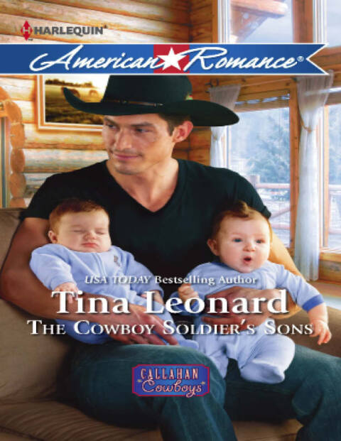 Cover image for book The Cowboy Soldier's Sons