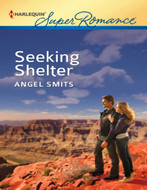 Cover image for book Seeking Shelter