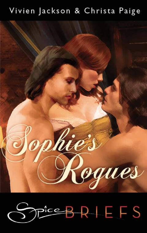 Cover image for book Sophie's Rogues