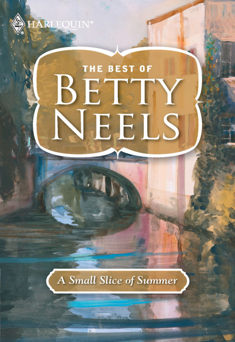 Cover image for book A Small Slice of Summer