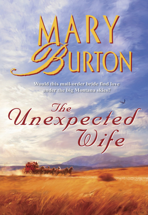 Cover image for book The Unexpected Wife