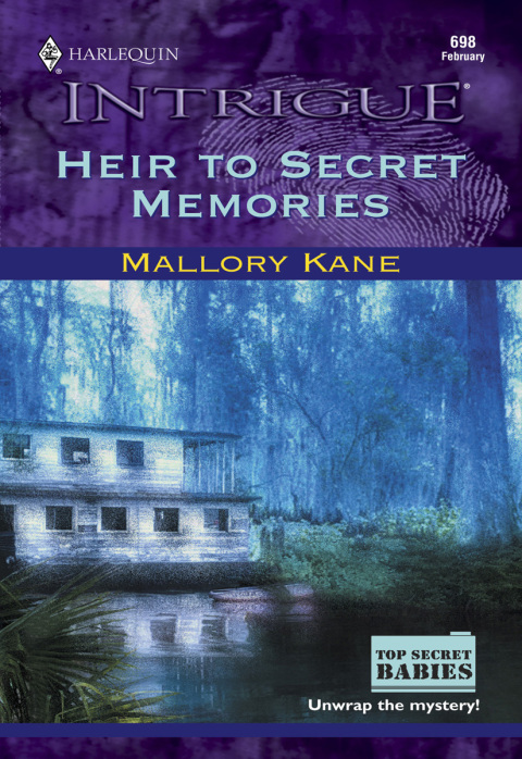 Cover image for book HEIR TO SECRET MEMORIES