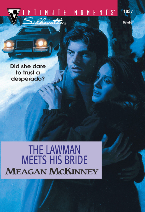 Cover image for book THE LAWMAN MEETS HIS BRIDE