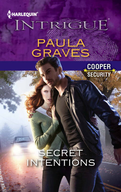 Cover image for book Secret Intentions