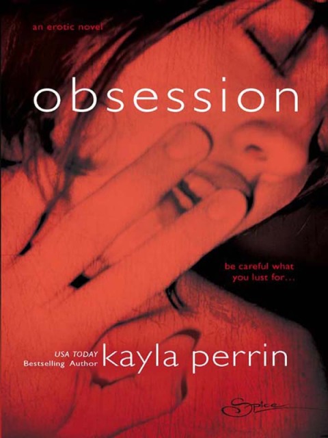 Cover image for book Obsession