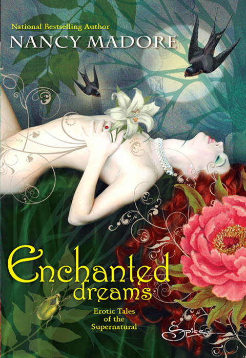 Cover image for book Enchanted Dreams: Erotic Tales of the Supernatural