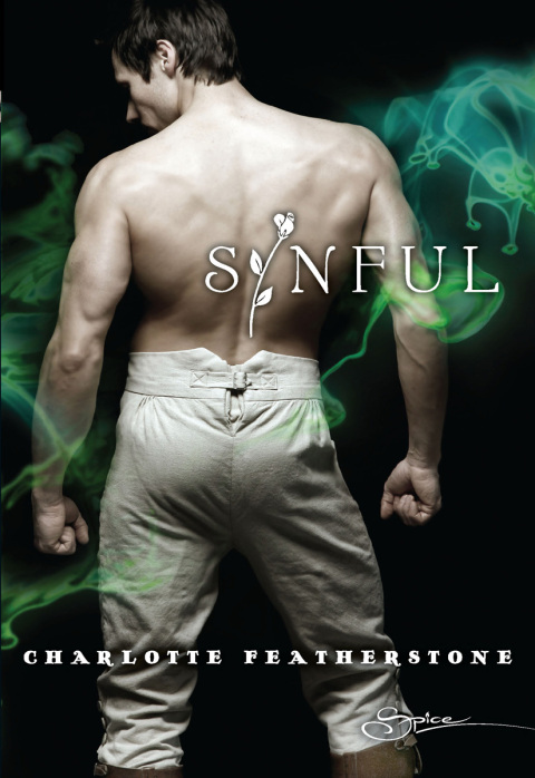 Cover image for book Sinful