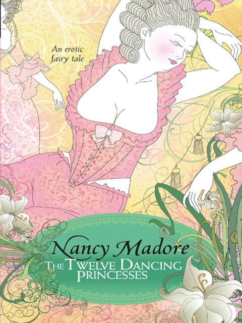 Cover image for book The Twelve Dancing Princesses