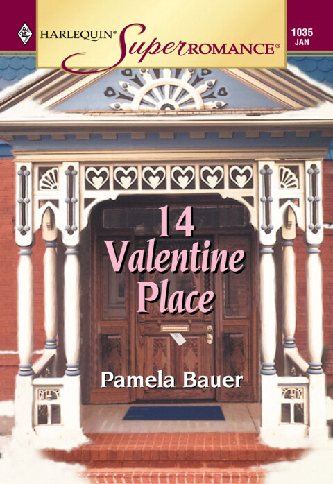 Cover image for book 14 VALENTINE PLACE