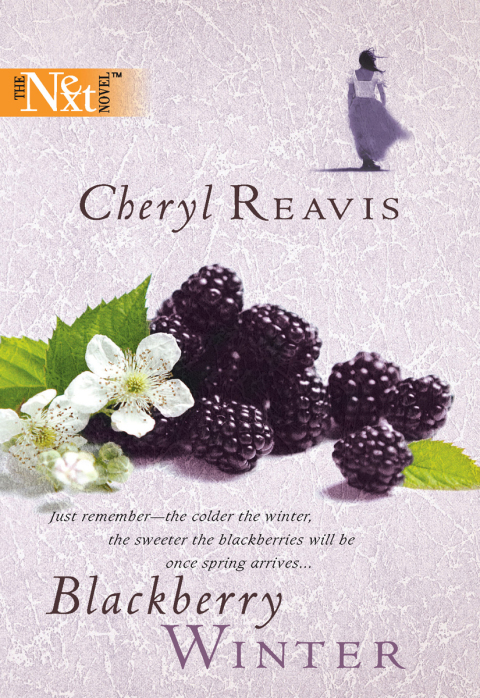 Cover image for book Blackberry Winter