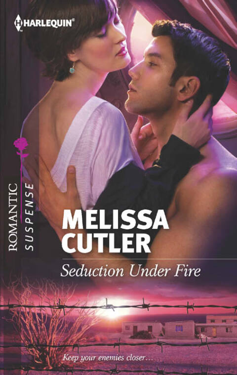 Cover image for book Seduction Under Fire