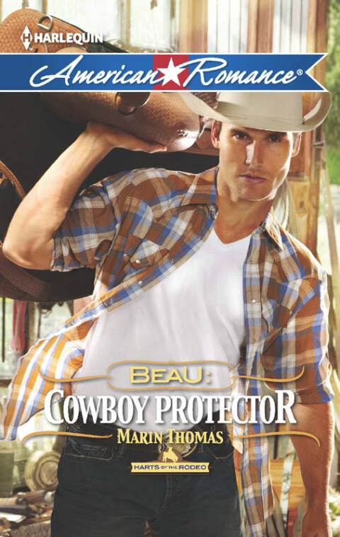 Cover image for book Beau: Cowboy Protector