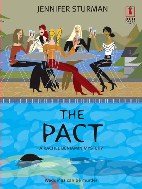 Cover image for book The Pact
