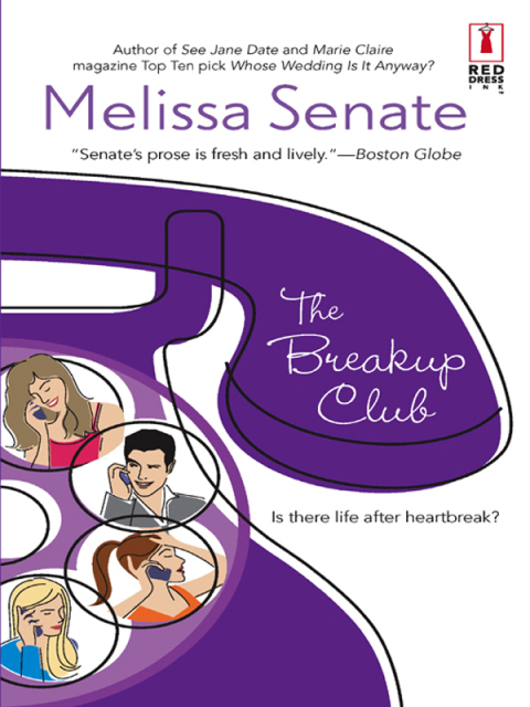 Cover image for book The Breakup Club