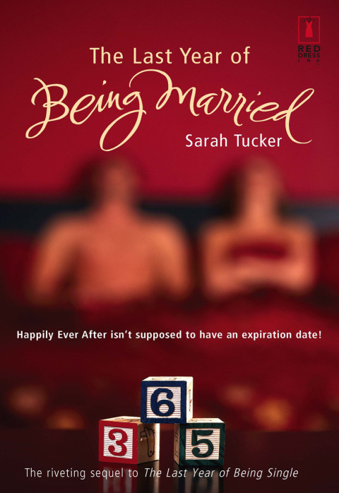 Cover image for book The Last Year of Being Married