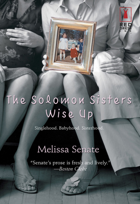 Cover image for book THE SOLOMON SISTERS WISE UP