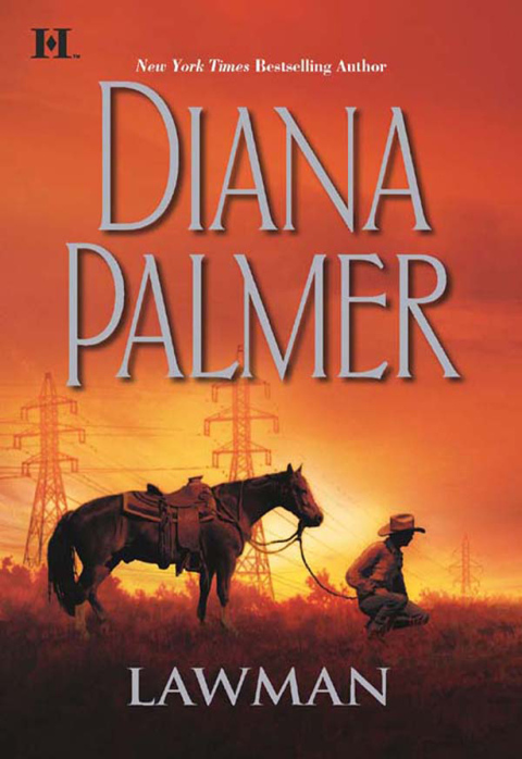 Cover image for book Lawman
