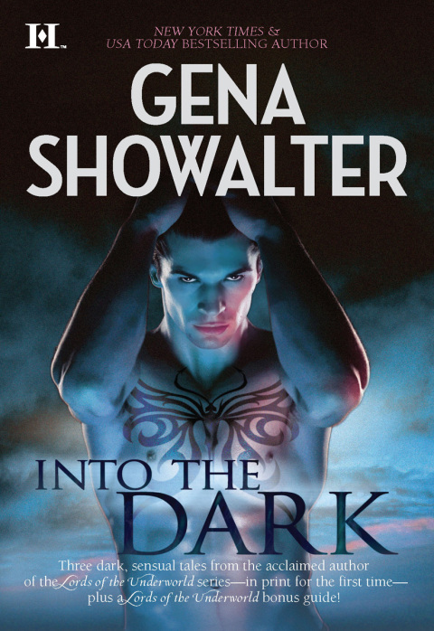 Cover image for book Into the Dark