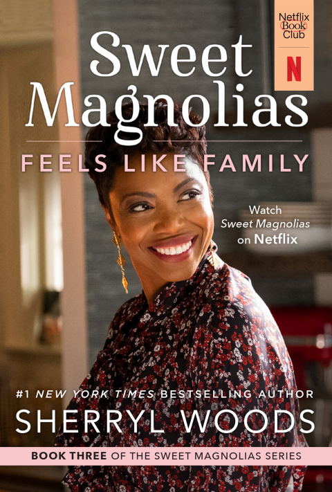 Cover image for book Feels Like Family