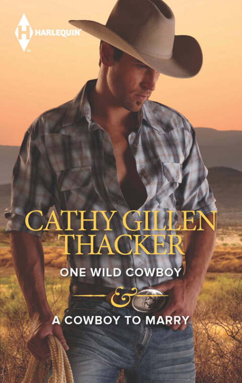 Cover image for book One Wild Cowboy & A Cowboy to Marry