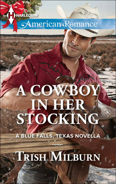 Cover image for book A Cowboy in Her Stocking
