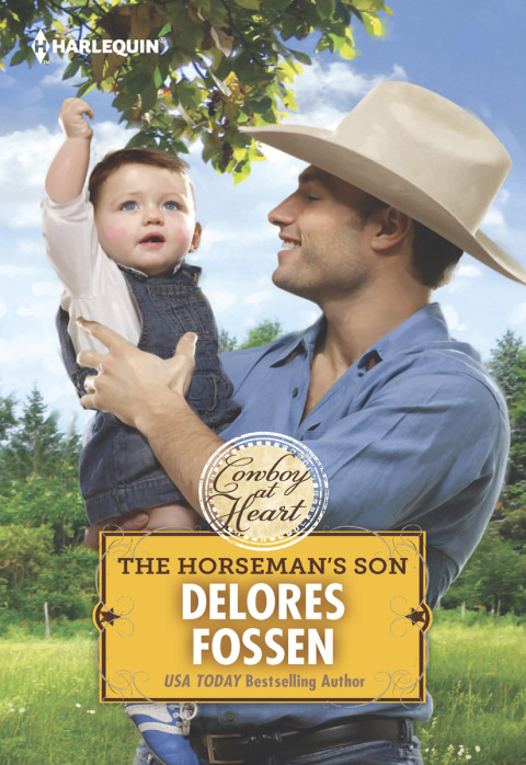 Cover image for book The Horseman's Son