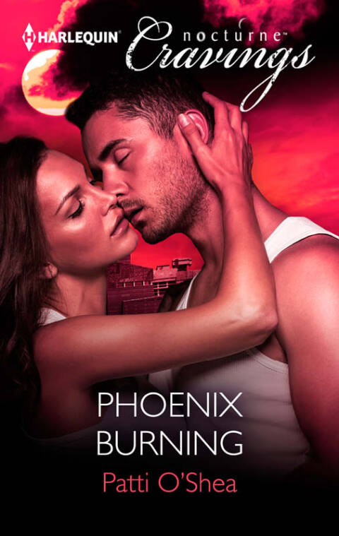 Cover image for book Phoenix Burning