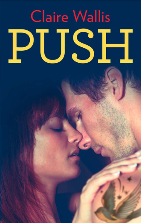 Cover image for book Push