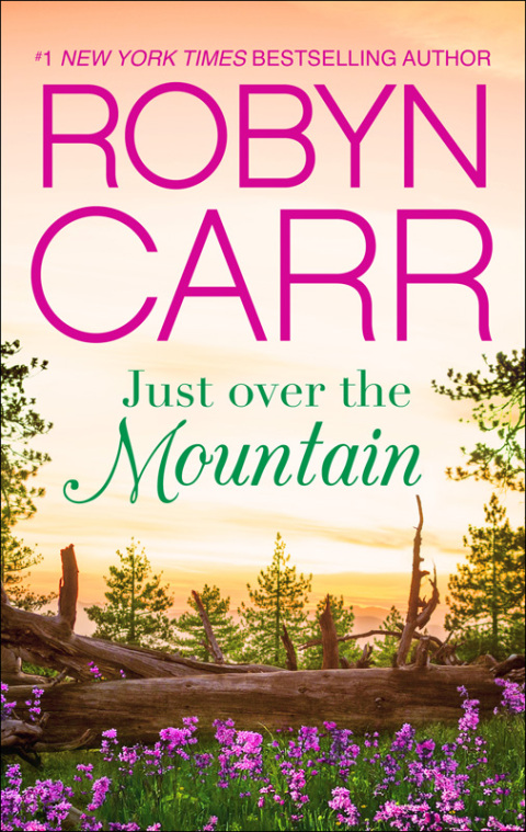 Cover image for book Just Over the Mountain