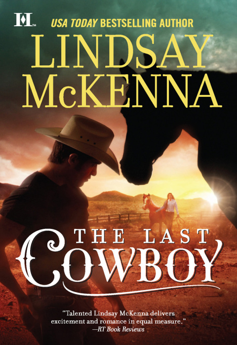Cover image for book The Last Cowboy
