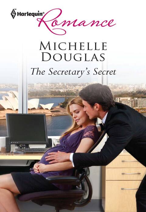 Cover image for book The Secretary's Secret