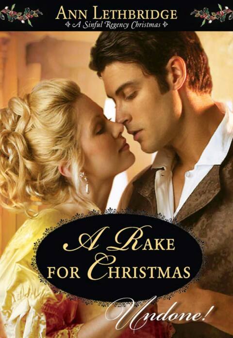 Cover image for book A Rake for Christmas