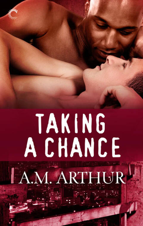Cover image for book Taking a Chance