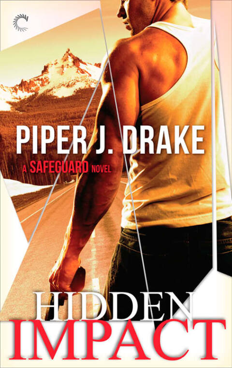 Cover image for book Hidden Impact