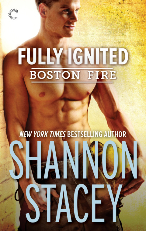 Cover image for book Fully Ignited