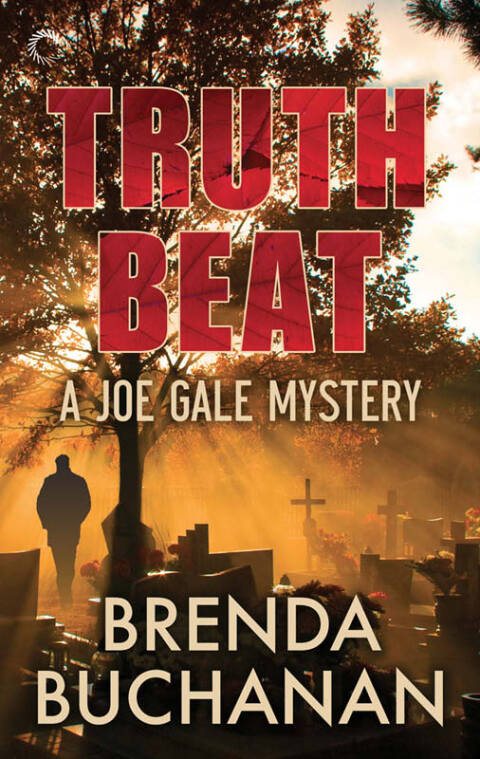 Cover image for book Truth Beat