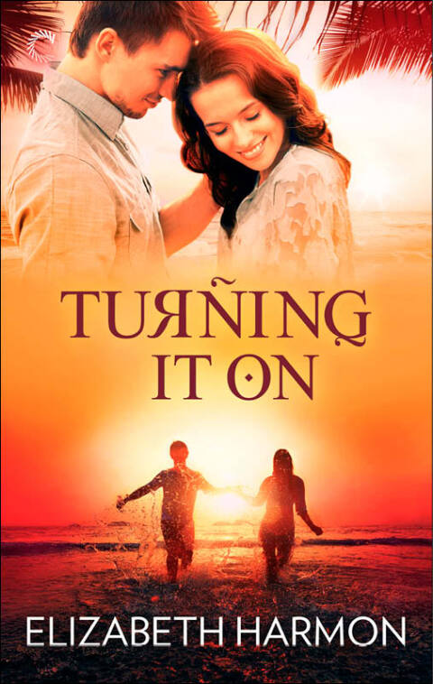 Cover image for book Turning It On