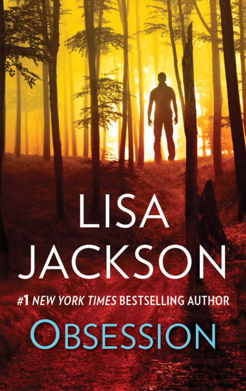 Cover image for book OBSESSION