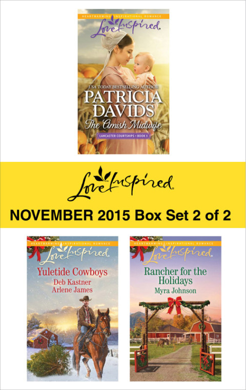 Cover image for book Love Inspired November 2015 - Box Set 2 of 2