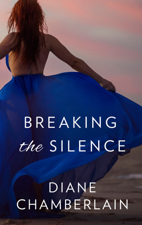 Cover image for book Breaking the Silence