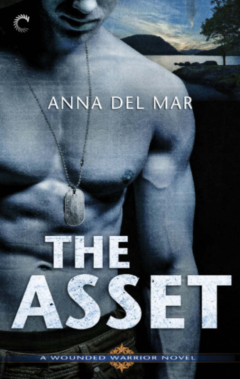 Cover image for book The Asset